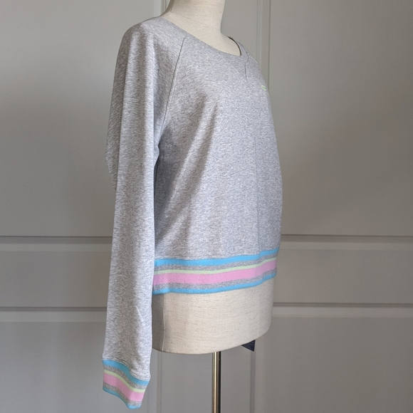 Champion Sweatshirt Rainbow Logo French Terry Crew Raglan Sleeves Grey L NWT - Picture 13 of 15